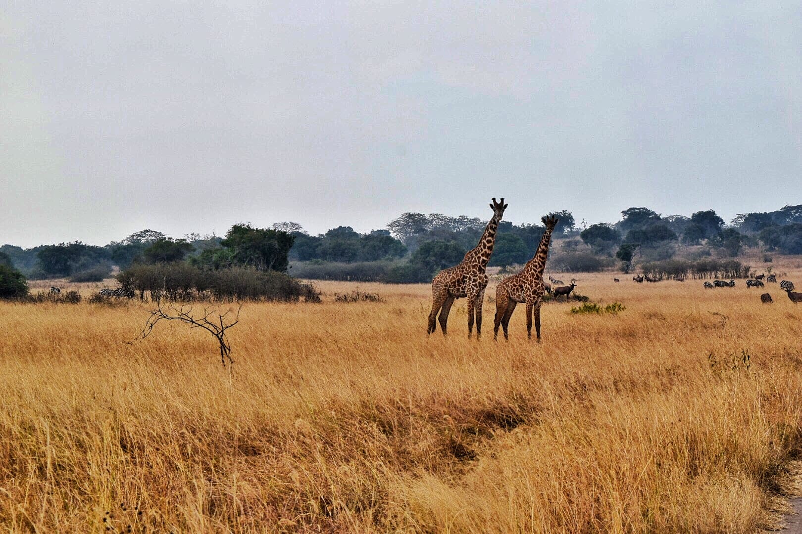 The Akagera escarpment above the lakes
