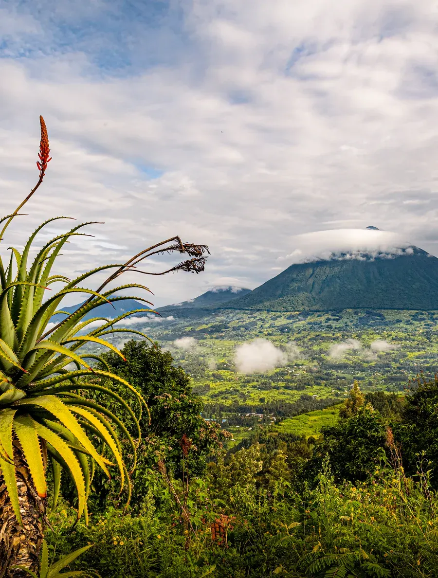 Mist over the Virunga volcanoes above Musanze